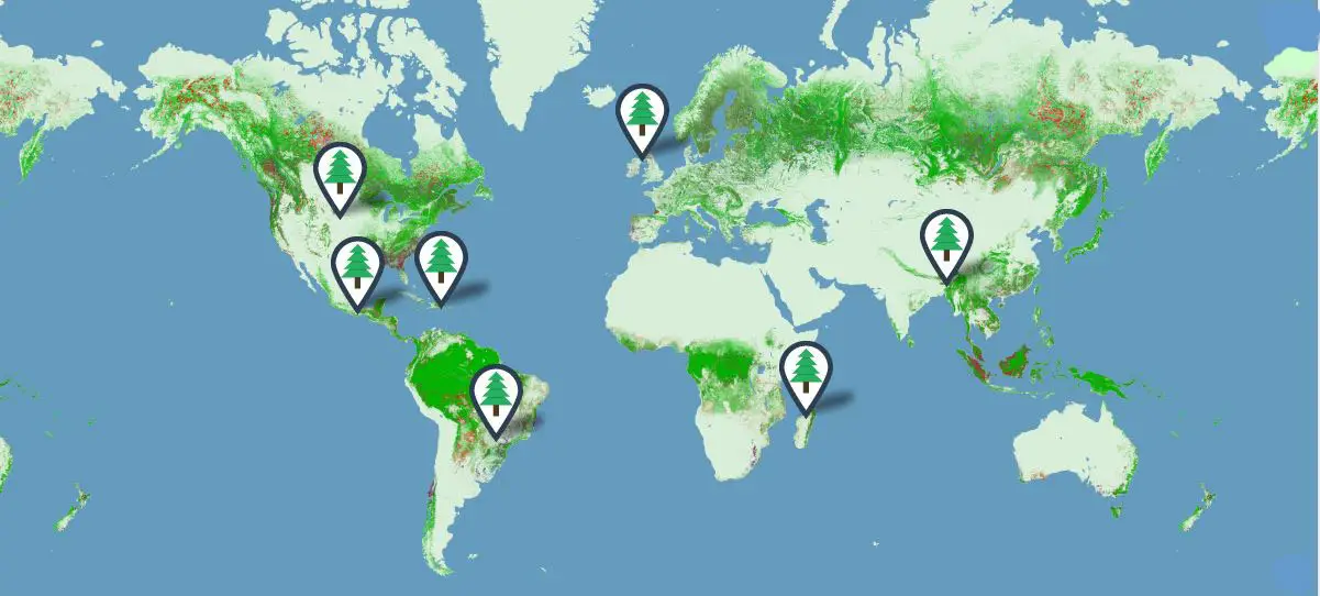 Forestry Map, PrintReleaf, Premier Technology Group
