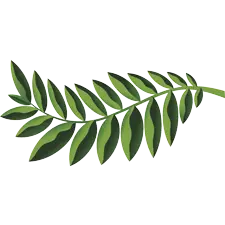 Native Woodlands, PrintReleaf, Premier Technology Group