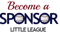 Become a youth baseball sponsor, Premier Technology Group