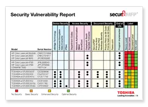 Vulnerability Report, MPS, MDS, Toshiba, Premier Technology Group